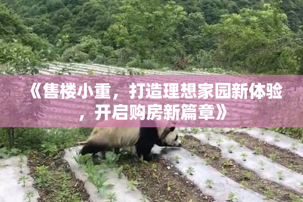 《售楼小重，打造理想家园新体验，开启购房新篇章》