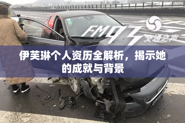 伊芙琳个人资历全解析，揭示她的成就与背景