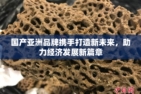 国产亚洲品牌携手打造新未来，助力经济发展新篇章