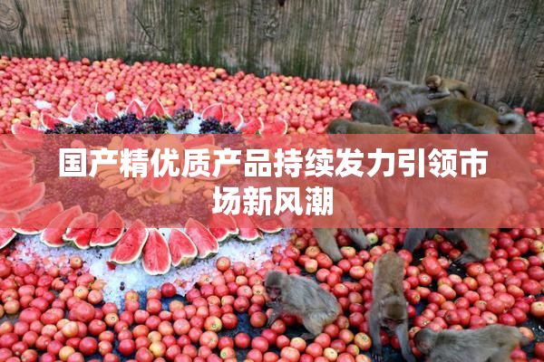 国产精优质产品持续发力引领市场新风潮