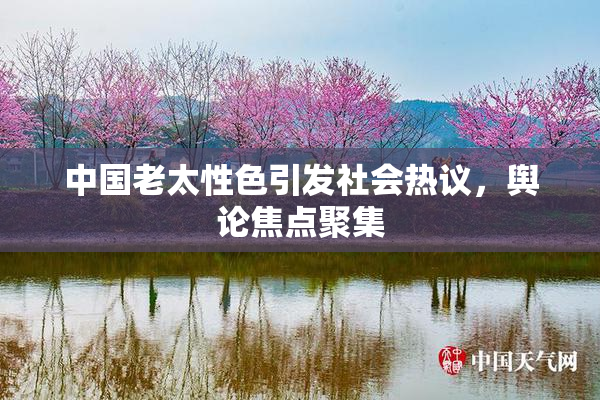 中国老太性色引发社会热议，舆论焦点聚集