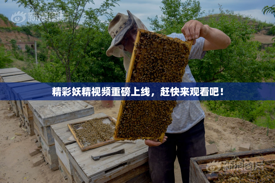精彩妖精视频重磅上线，赶快来观看吧！