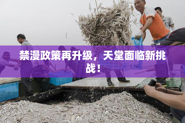 禁漫政策再升级，天堂面临新挑战！