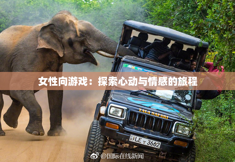 女性向游戏：探索心动与情感的旅程