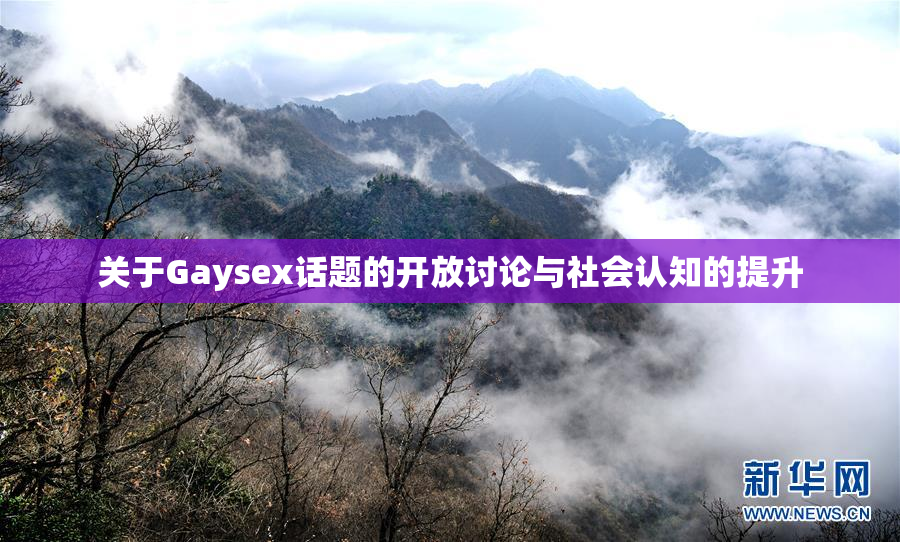 关于Gaysex话题的开放讨论与社会认知的提升