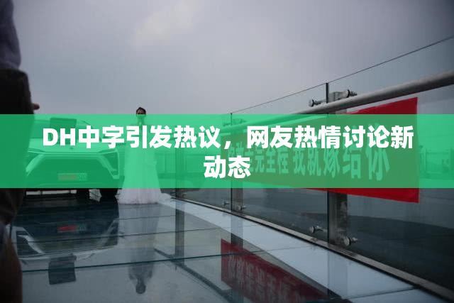 DH中字引发热议，网友热情讨论新动态