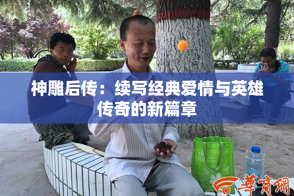 神雕后传：续写经典爱情与英雄传奇的新篇章