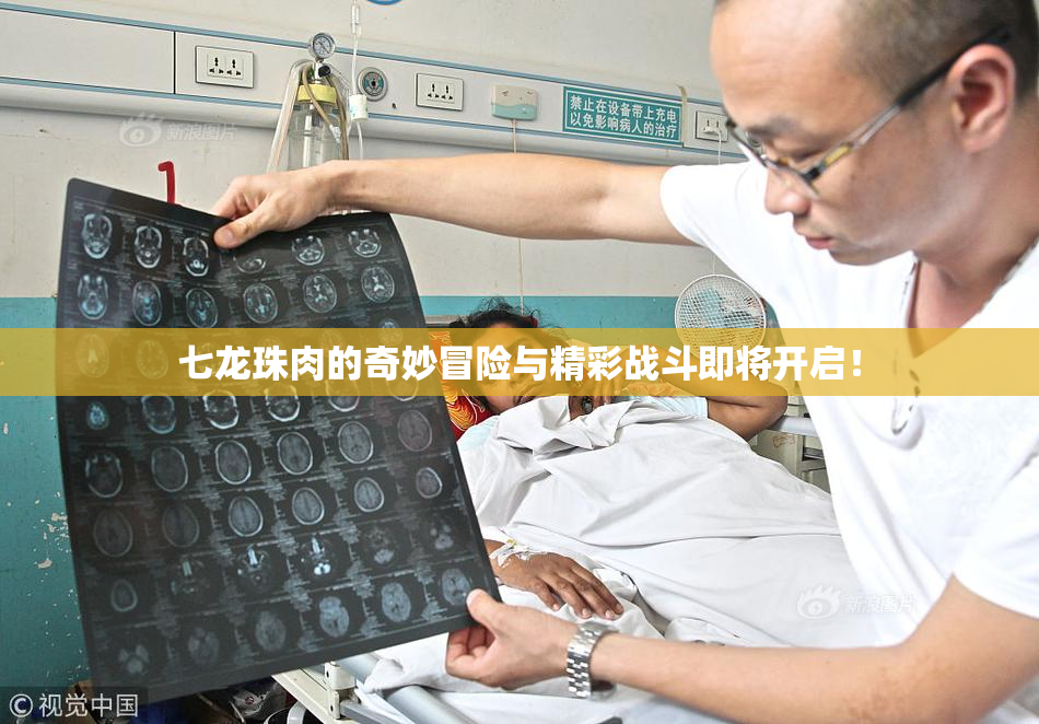 七龙珠肉的奇妙冒险与精彩战斗即将开启！