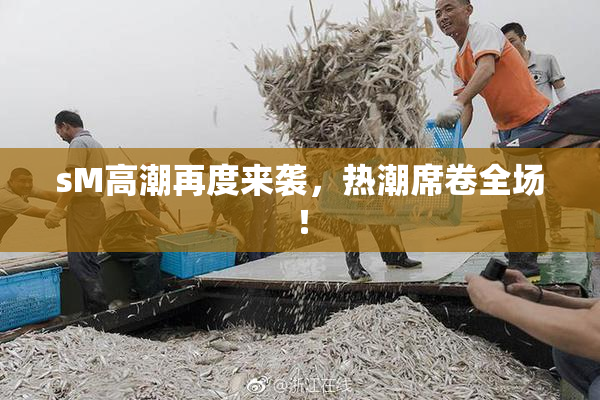 sM高潮再度来袭，热潮席卷全场！