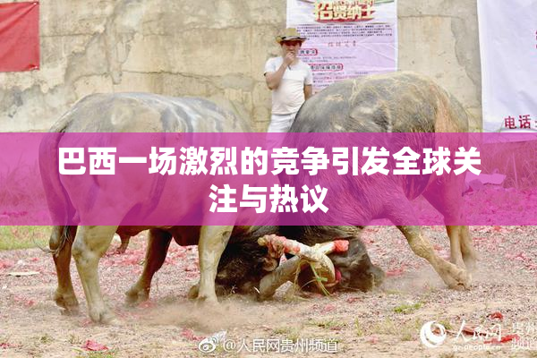 巴西一场激烈的竞争引发全球关注与热议
