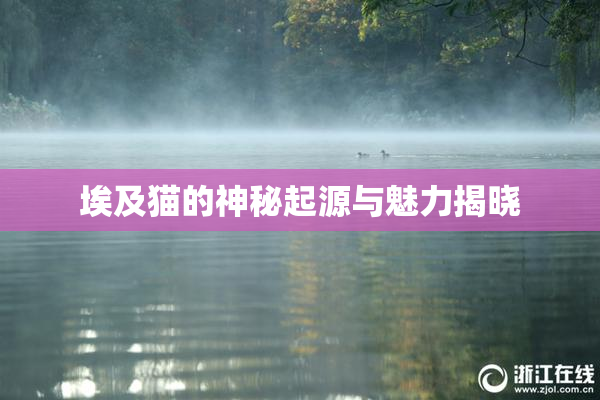 埃及猫的神秘起源与魅力揭晓