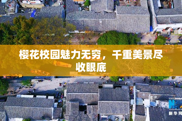 樱花校园魅力无穷，千重美景尽收眼底