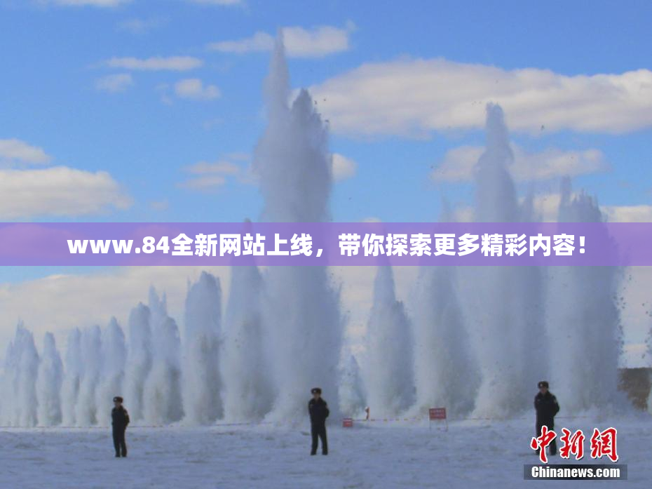 www.84全新网站上线，带你探索更多精彩内容！