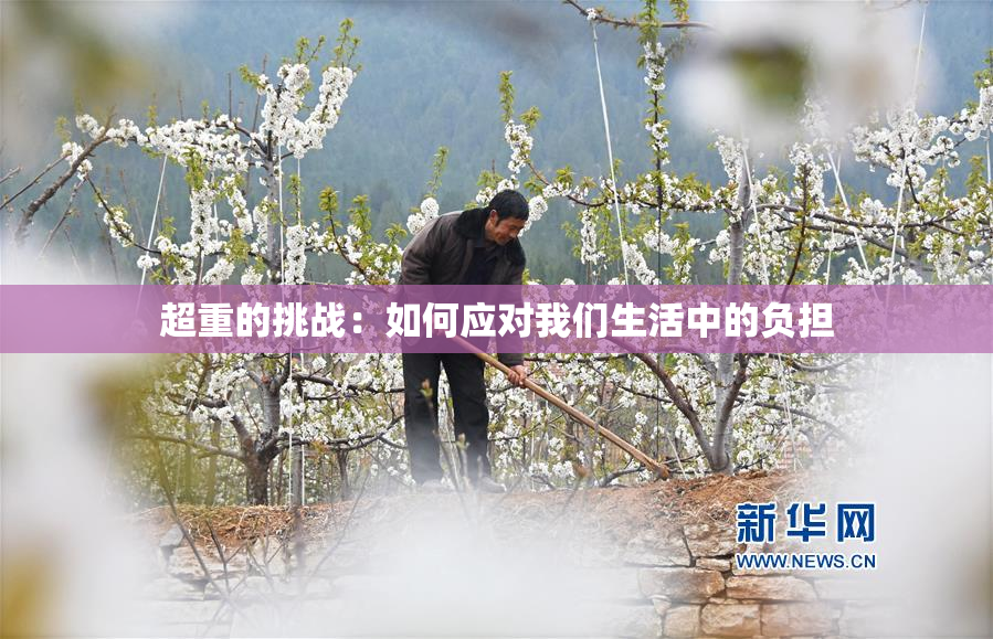 超重的挑战：如何应对我们生活中的负担