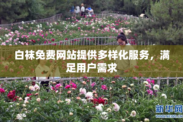 白袜免费网站提供多样化服务，满足用户需求