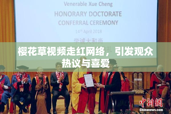 樱花草视频走红网络，引发观众热议与喜爱