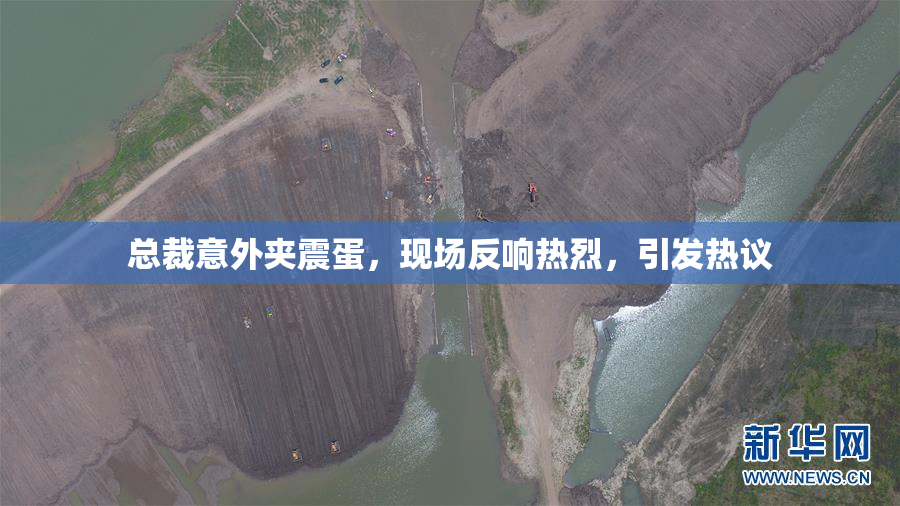 总裁意外夹震蛋，现场反响热烈，引发热议