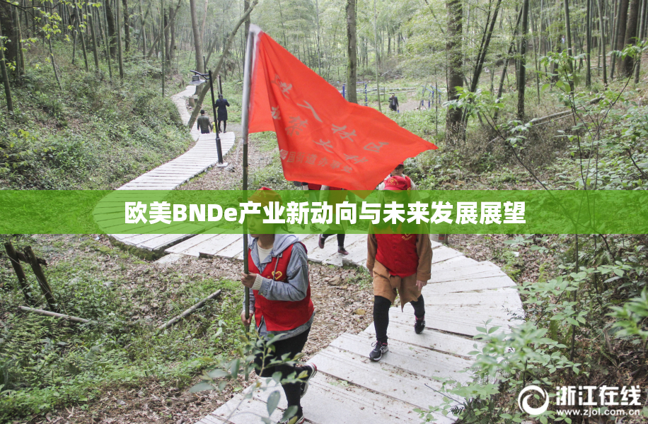 欧美BNDe产业新动向与未来发展展望