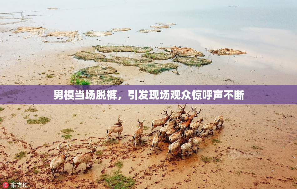 男模当场脱裤，引发现场观众惊呼声不断