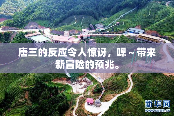 唐三的反应令人惊讶，嗯～带来新冒险的预兆。
