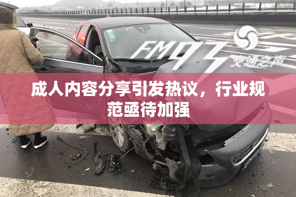 成人内容分享引发热议，行业规范亟待加强