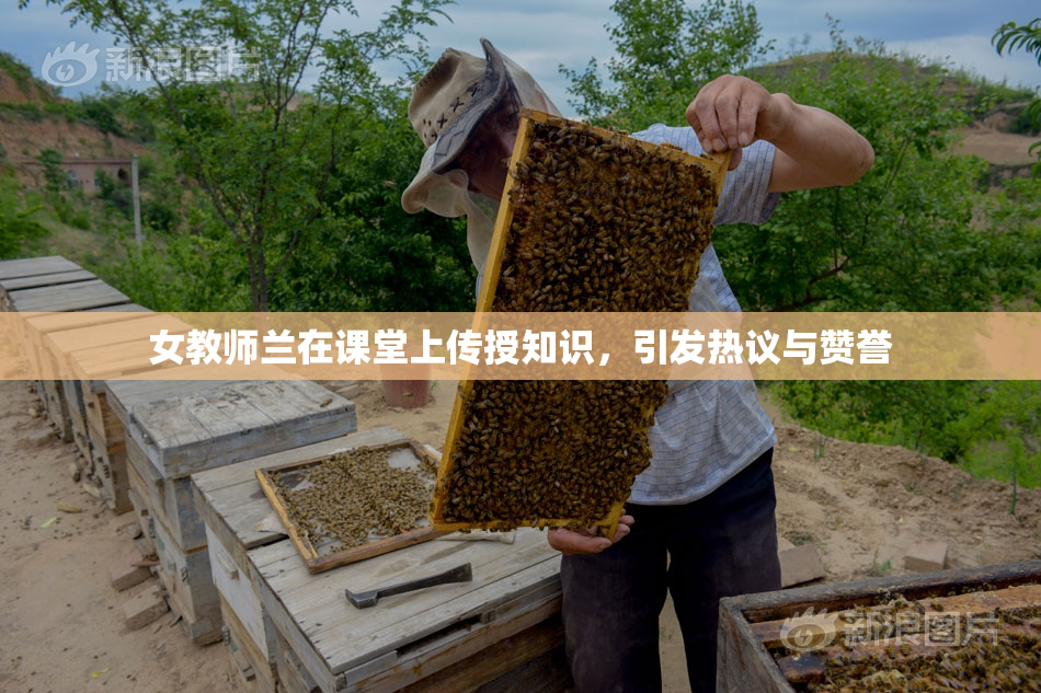 女教师兰在课堂上传授知识，引发热议与赞誉