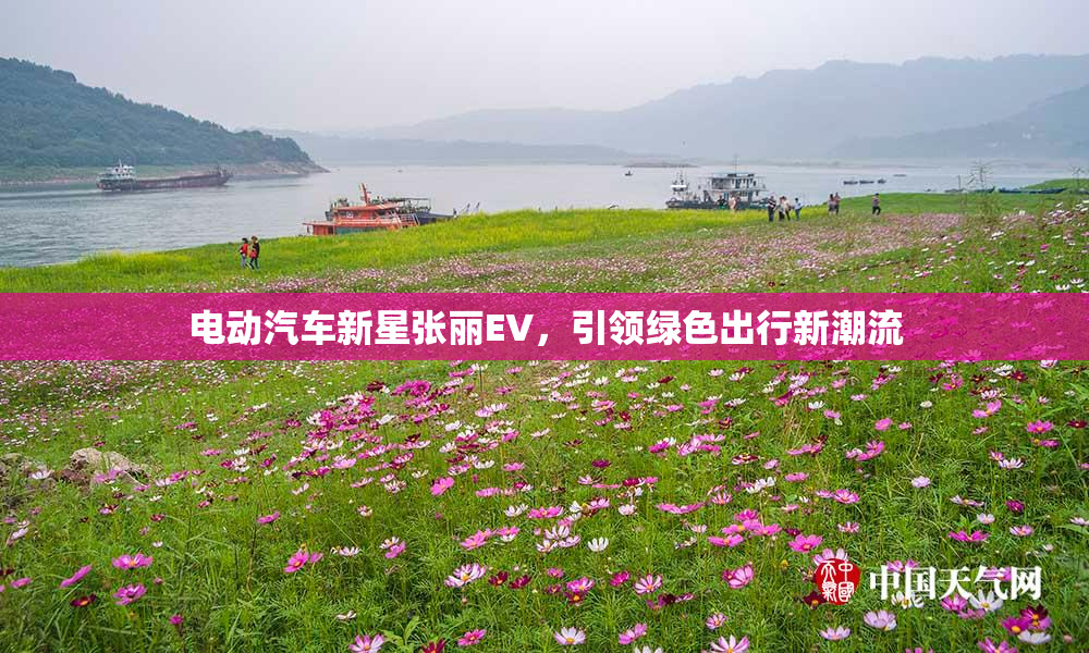 电动汽车新星张丽EV，引领绿色出行新潮流