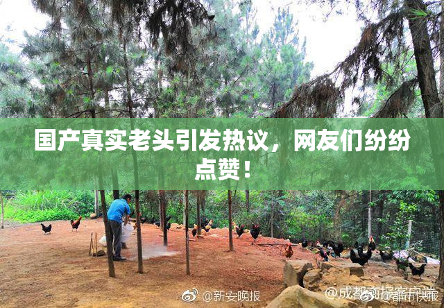 国产真实老头引发热议，网友们纷纷点赞！