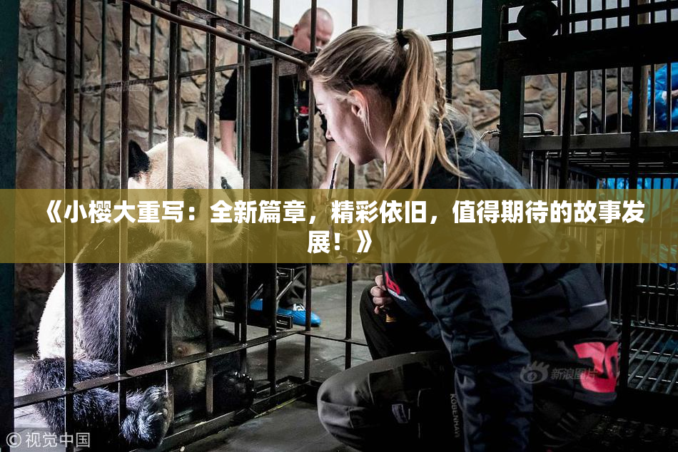 《小樱大重写：全新篇章，精彩依旧，值得期待的故事发展！》