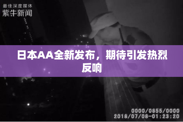 日本AA全新发布，期待引发热烈反响