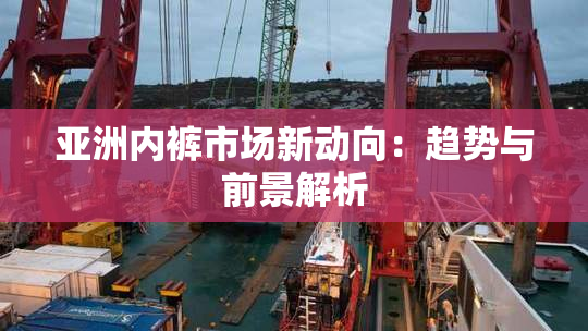 亚洲内裤市场新动向：趋势与前景解析