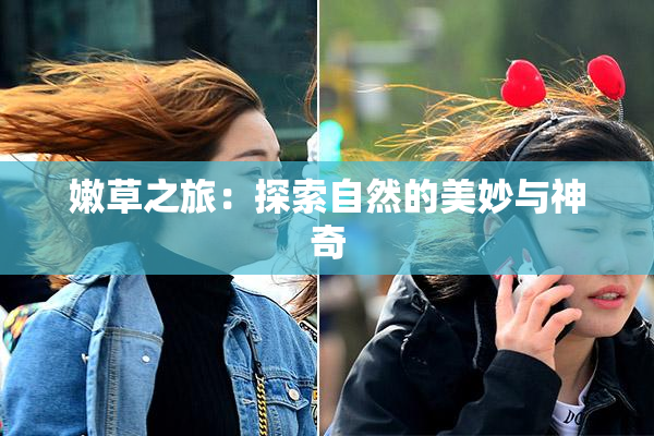 嫩草之旅：探索自然的美妙与神奇