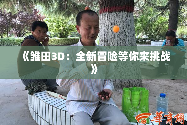 《雏田3D：全新冒险等你来挑战》