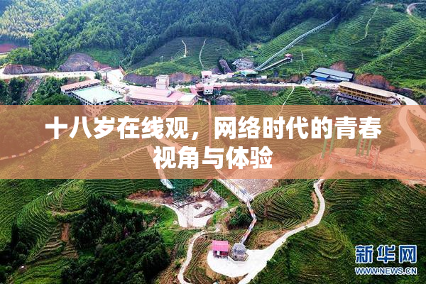 十八岁在线观，网络时代的青春视角与体验
