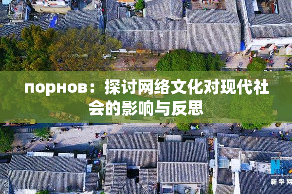 порнов：探讨网络文化对现代社会的影响与反思