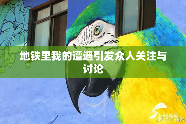 地铁里我的遭遇引发众人关注与讨论