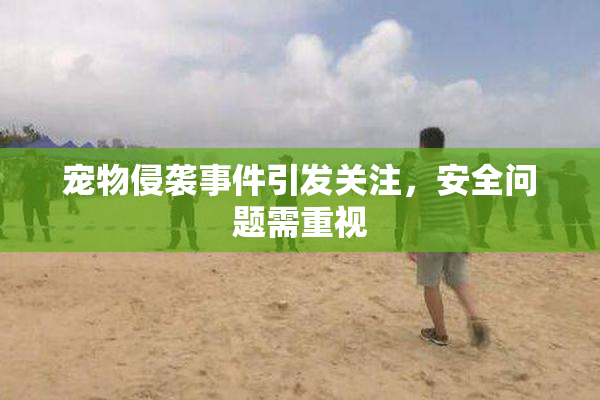 宠物侵袭事件引发关注，安全问题需重视