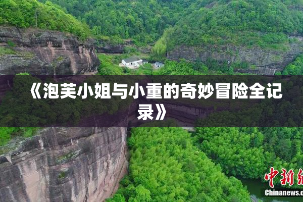 《泡芙小姐与小重的奇妙冒险全记录》