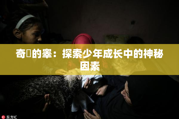奇犽的睾：探索少年成长中的神秘因素