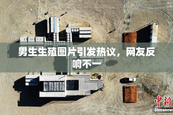 男生生殖图片引发热议，网友反响不一