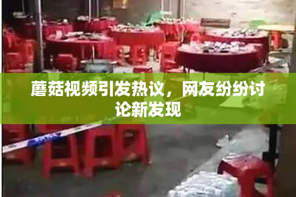 蘑菇视频引发热议，网友纷纷讨论新发现