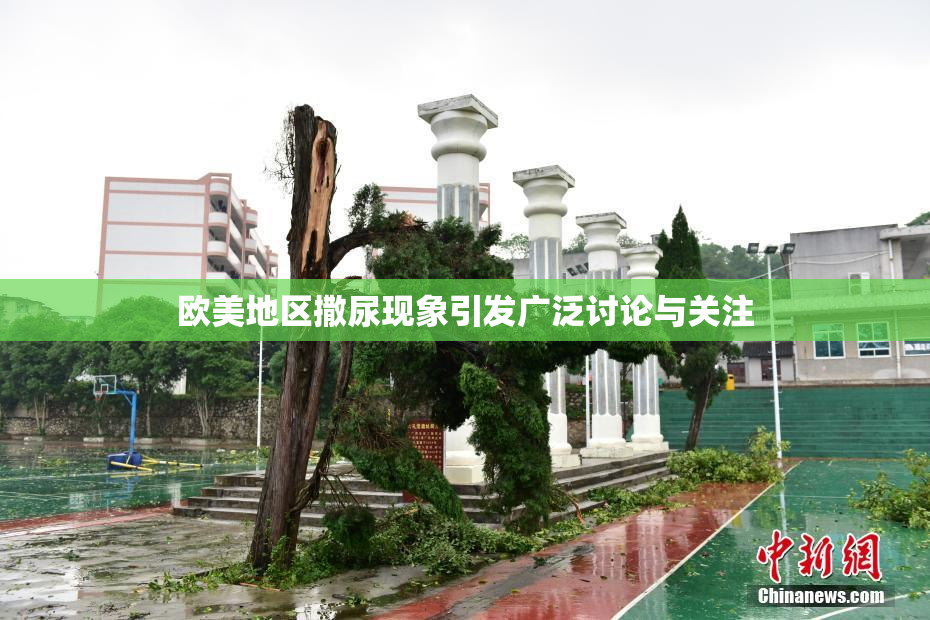 欧美地区撒尿现象引发广泛讨论与关注