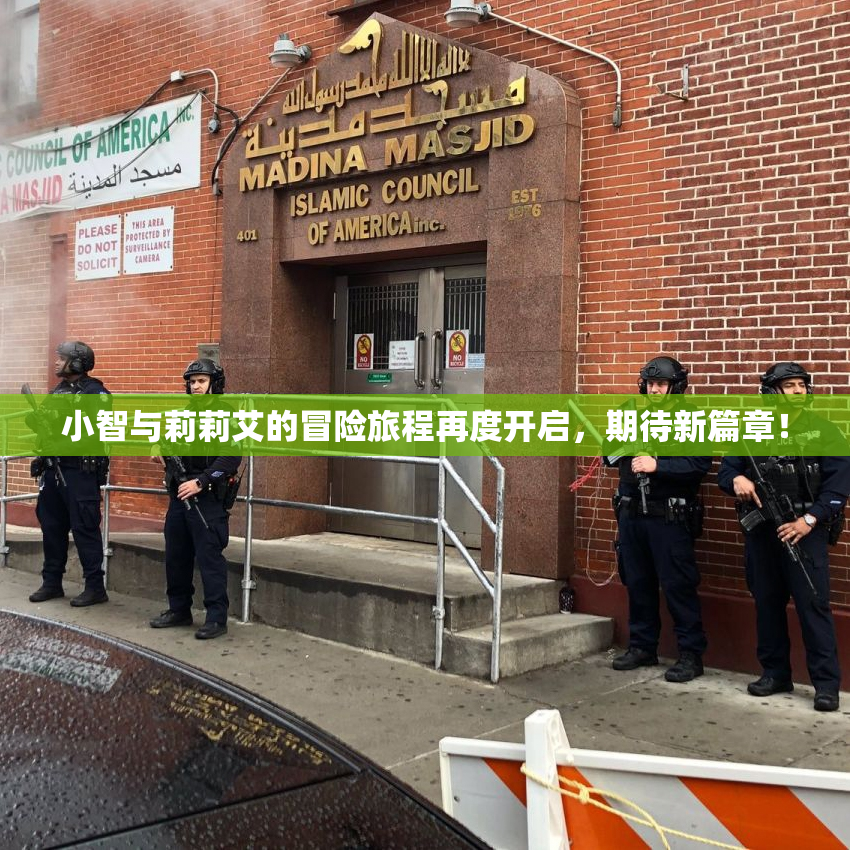 小智与莉莉艾的冒险旅程再度开启，期待新篇章！