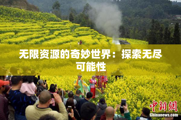 无限资源的奇妙世界：探索无尽可能性