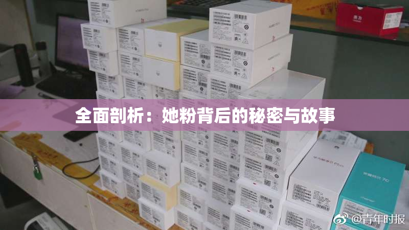 全面剖析：她粉背后的秘密与故事