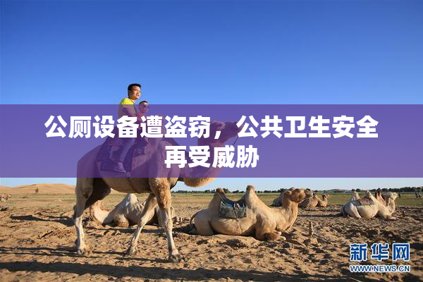 公厕设备遭盗窃，公共卫生安全再受威胁