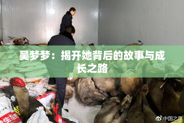 吴梦梦：揭开她背后的故事与成长之路