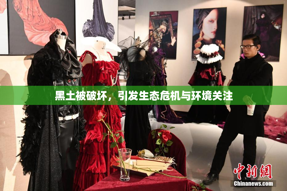 黑土被破坏，引发生态危机与环境关注