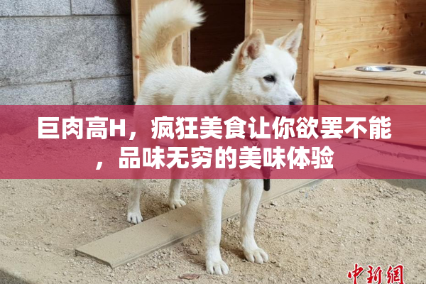 巨肉高H，疯狂美食让你欲罢不能，品味无穷的美味体验