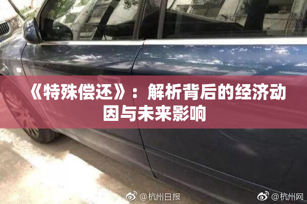 《特殊偿还》：解析背后的经济动因与未来影响
